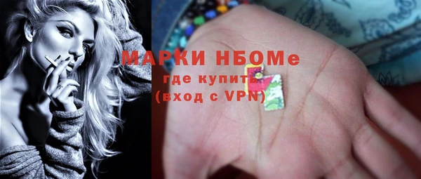прущие грибы Нягань