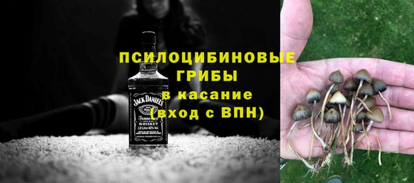 прущие грибы Нягань