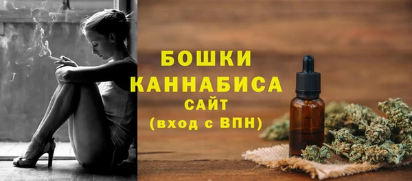 спиды Болотное