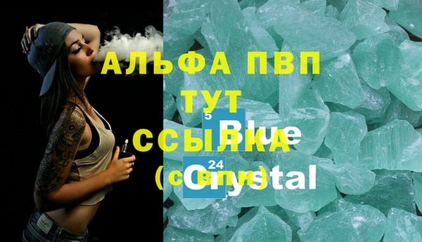 прущие грибы Нягань