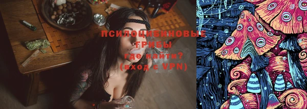 прущие грибы Нягань