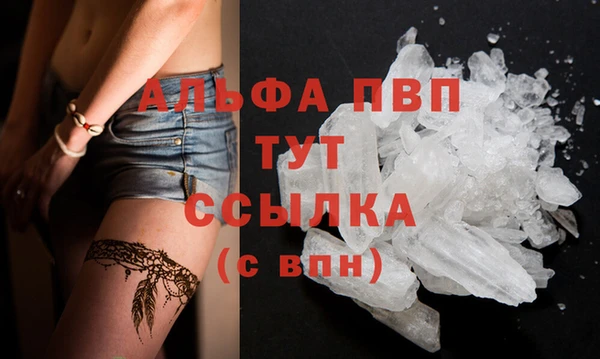 прущие грибы Нягань