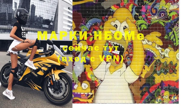 ГАЛЛЮЦИНОГЕННЫЕ ГРИБЫ Осинники