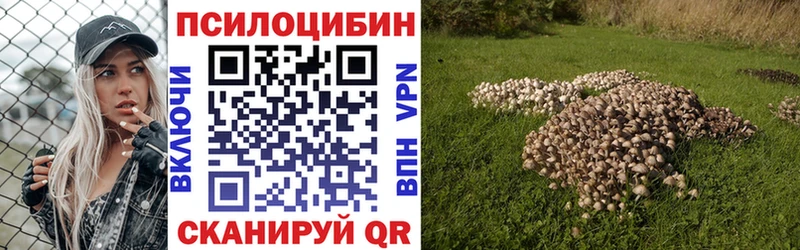 Псилоцибиновые грибы Psilocybine cubensis  Кировград 